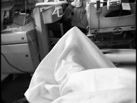 hospital (24)