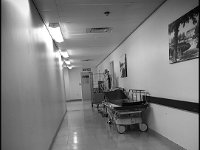 hospital (30)